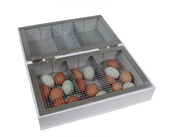 Separated hatching tray with cover