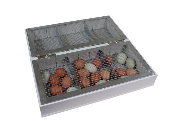 Hatching tray with lid