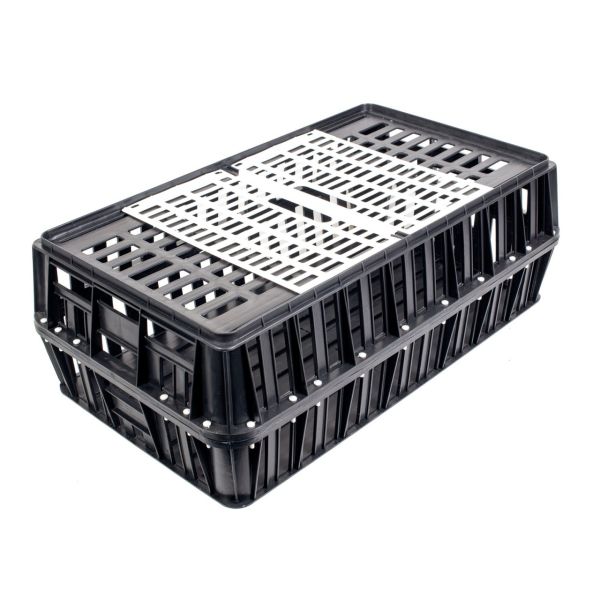 Poultry transport crate for poultry